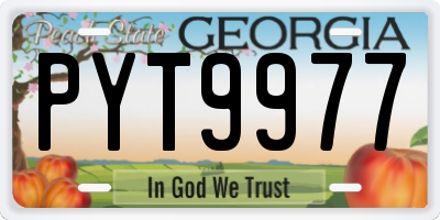 GA license plate PYT9977