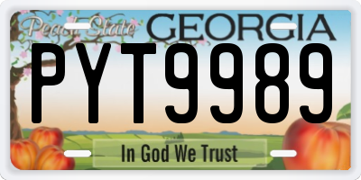 GA license plate PYT9989