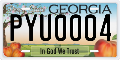 GA license plate PYU0004