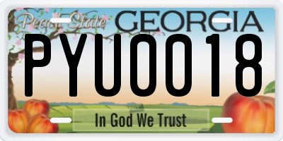 GA license plate PYU0018