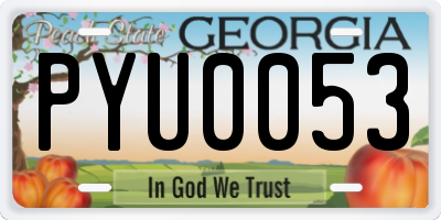GA license plate PYU0053