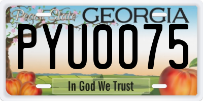 GA license plate PYU0075