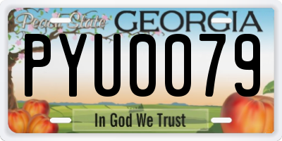 GA license plate PYU0079