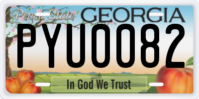 GA license plate PYU0082