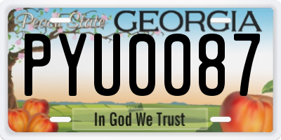 GA license plate PYU0087