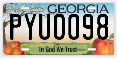 GA license plate PYU0098