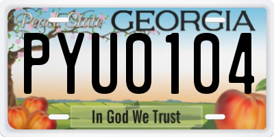 GA license plate PYU0104