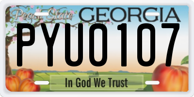 GA license plate PYU0107