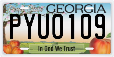 GA license plate PYU0109