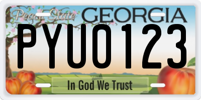 GA license plate PYU0123