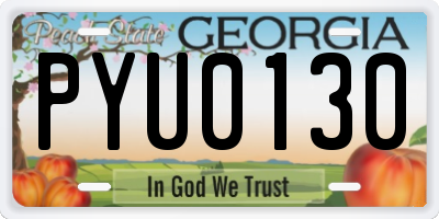 GA license plate PYU0130