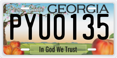 GA license plate PYU0135