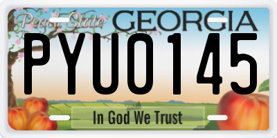 GA license plate PYU0145