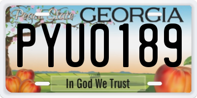 GA license plate PYU0189