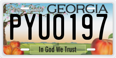 GA license plate PYU0197