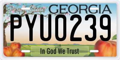 GA license plate PYU0239
