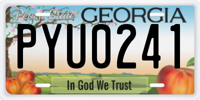 GA license plate PYU0241