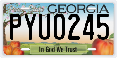 GA license plate PYU0245