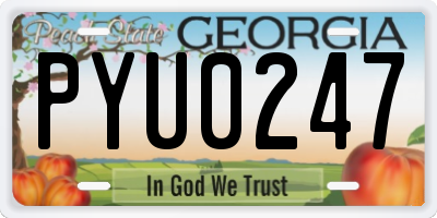 GA license plate PYU0247