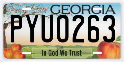 GA license plate PYU0263