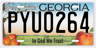 GA license plate PYU0264