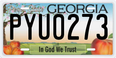 GA license plate PYU0273