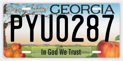 GA license plate PYU0287