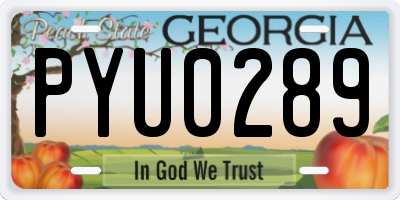 GA license plate PYU0289