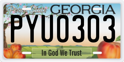 GA license plate PYU0303
