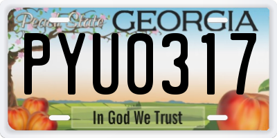 GA license plate PYU0317