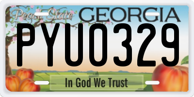 GA license plate PYU0329