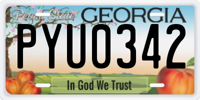 GA license plate PYU0342