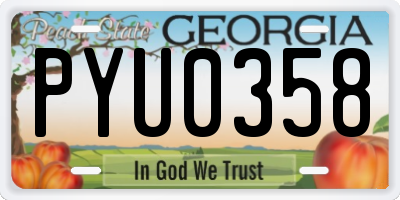 GA license plate PYU0358