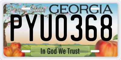 GA license plate PYU0368