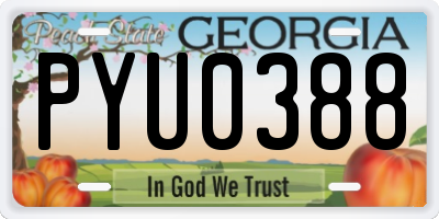 GA license plate PYU0388