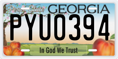 GA license plate PYU0394