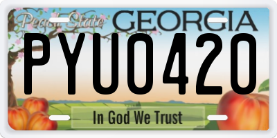 GA license plate PYU0420