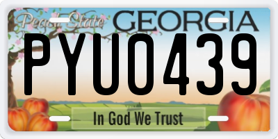GA license plate PYU0439