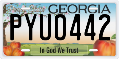 GA license plate PYU0442