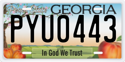 GA license plate PYU0443