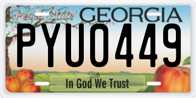 GA license plate PYU0449
