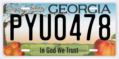 GA license plate PYU0478