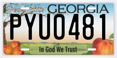 GA license plate PYU0481