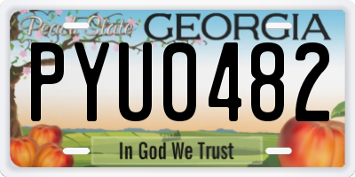 GA license plate PYU0482