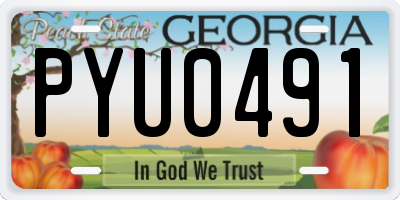 GA license plate PYU0491