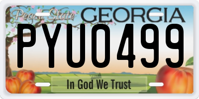 GA license plate PYU0499