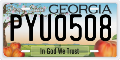 GA license plate PYU0508