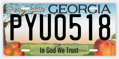 GA license plate PYU0518