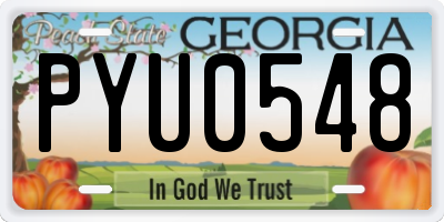 GA license plate PYU0548