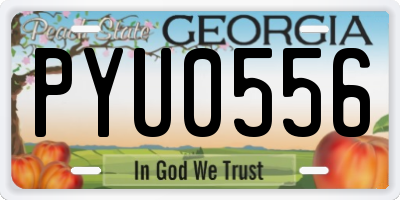 GA license plate PYU0556